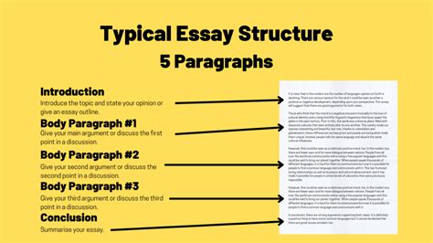 can an essay be 2 paragraphs